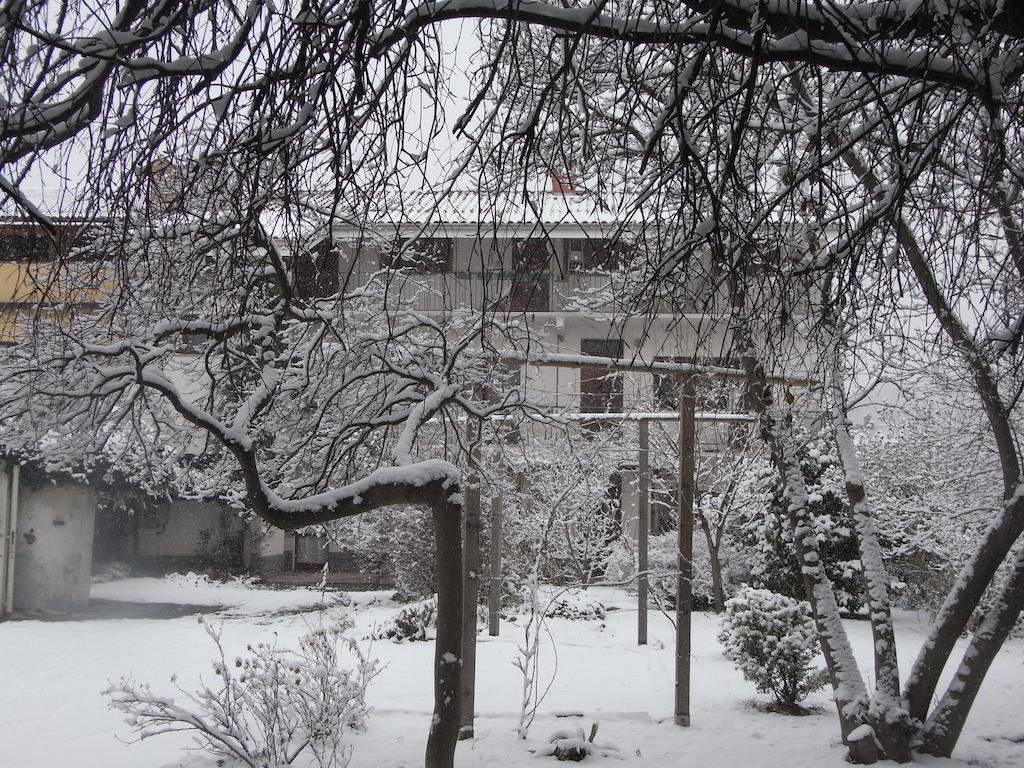 B&B Casa Passito Pavone Canavese Zewnętrze zdjęcie